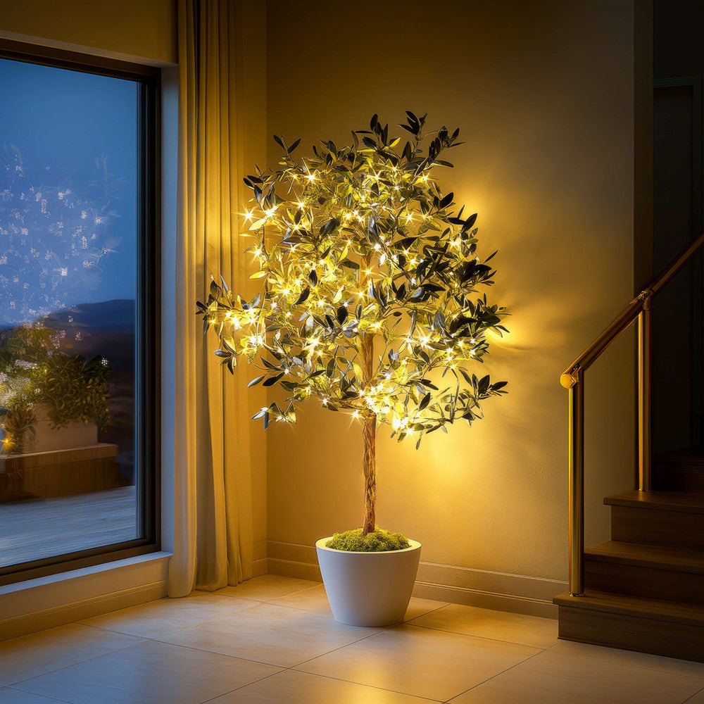 Olive Oasis Tree