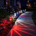 Freedom Flare Solar Light