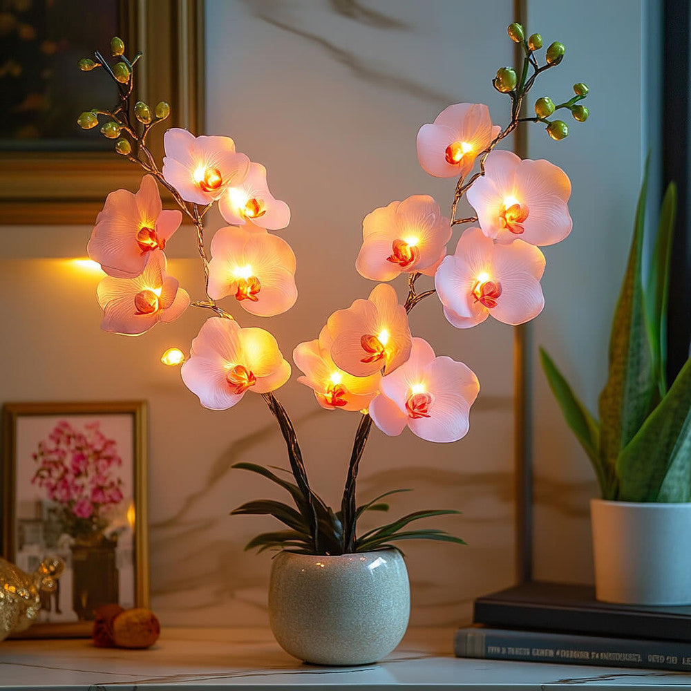 Blooming Orchid Branch