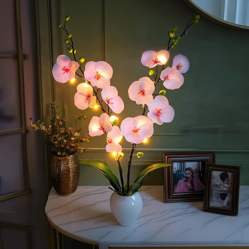 Blooming Orchid Branch