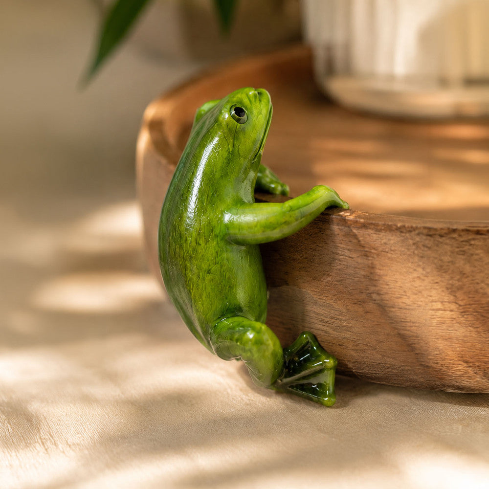 Bloom Buddy Frog