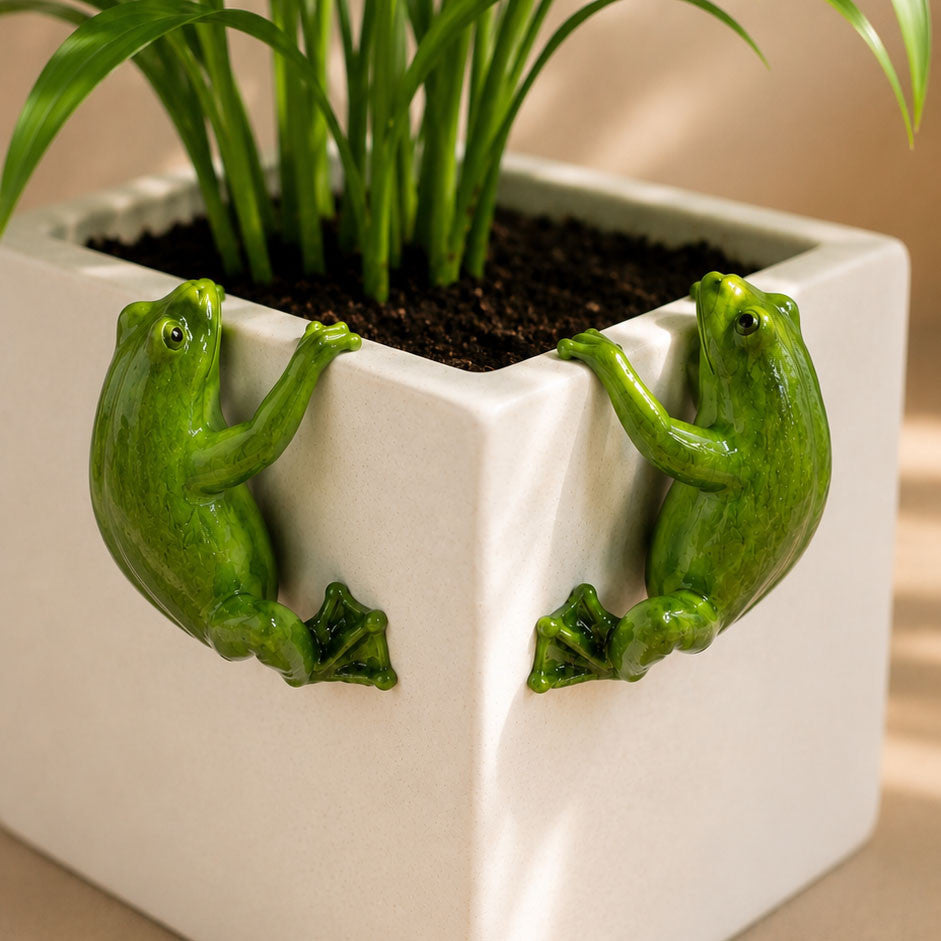Bloom Buddy Frog