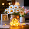 Daisy Dreamlight Jar