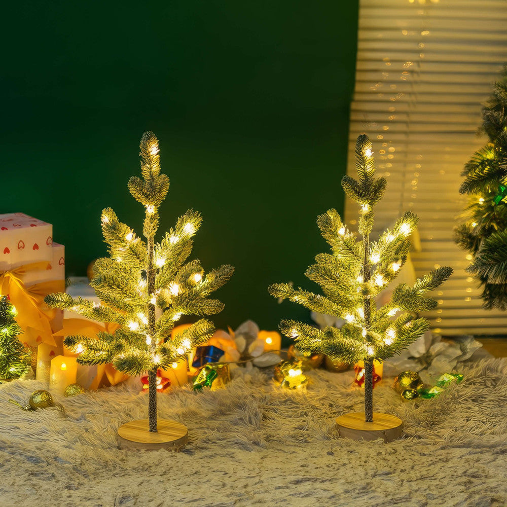 Enchanted Evergreen Pine Tree