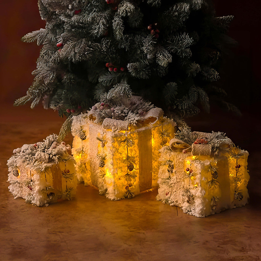 Frosted Fantasy Gift