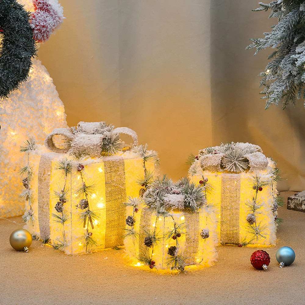 Frosted Fantasy Gift