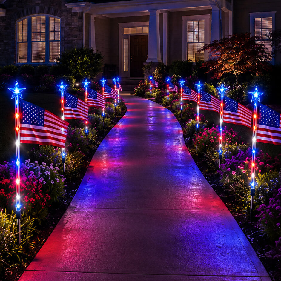 Freedom Flag Light