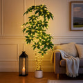 Fairy Fortune Tree
