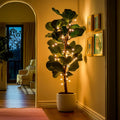 Luminous Leafy Fig Tree