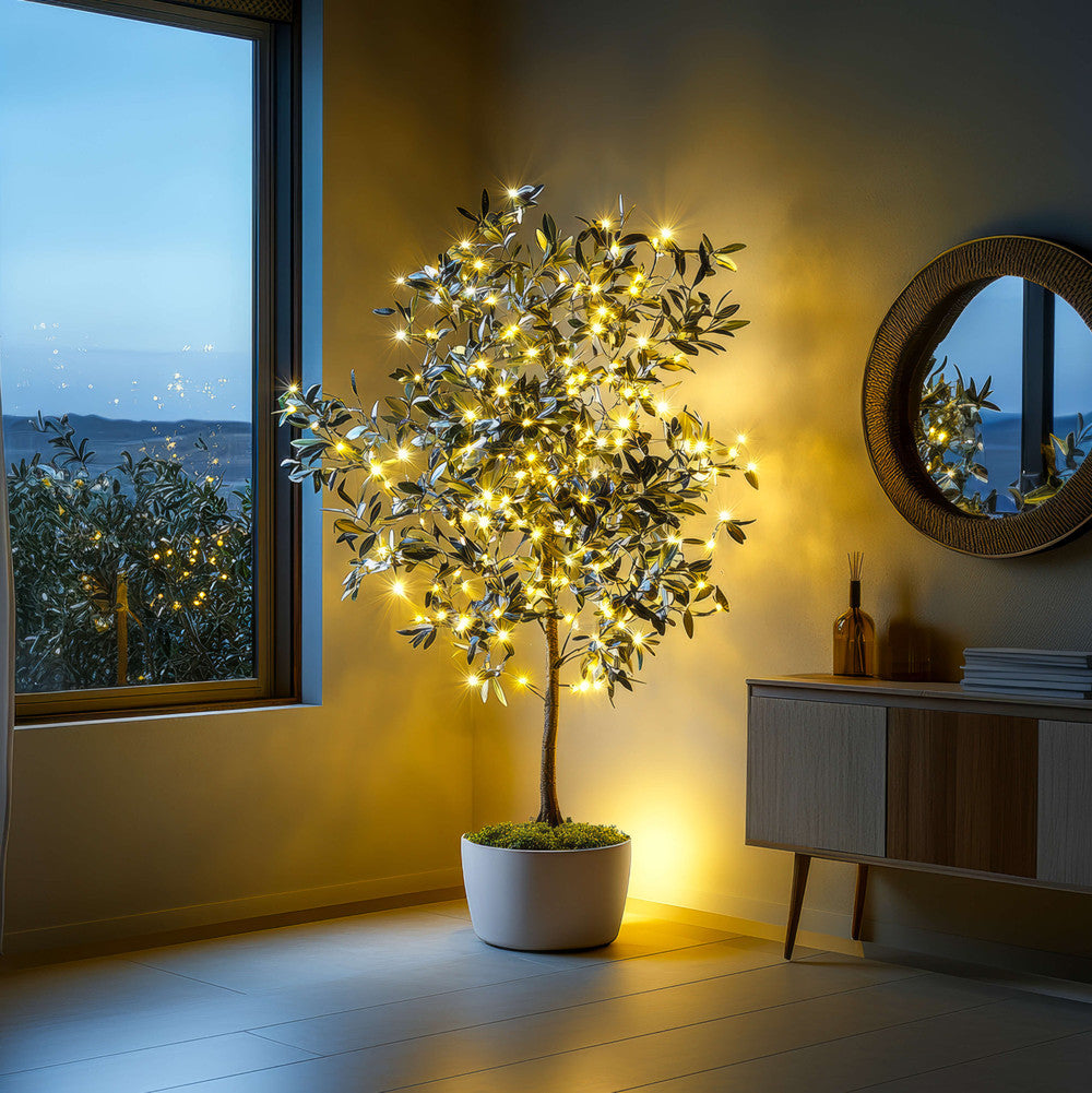 Olive Oasis Tree