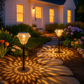 Radiant Ripple Light