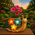 Sunny Snail Plant Pot