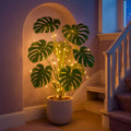 Twinkling Tropic Monstera
