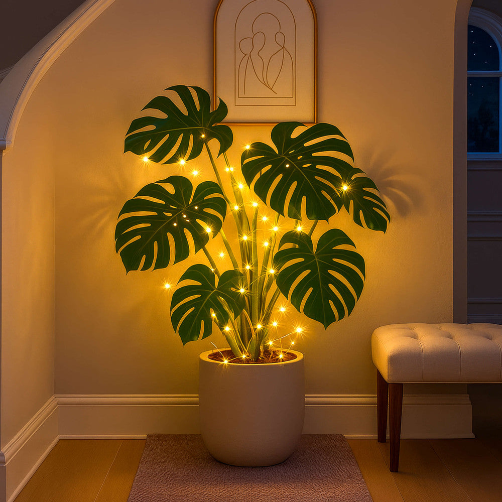 Twinkling Tropic Monstera