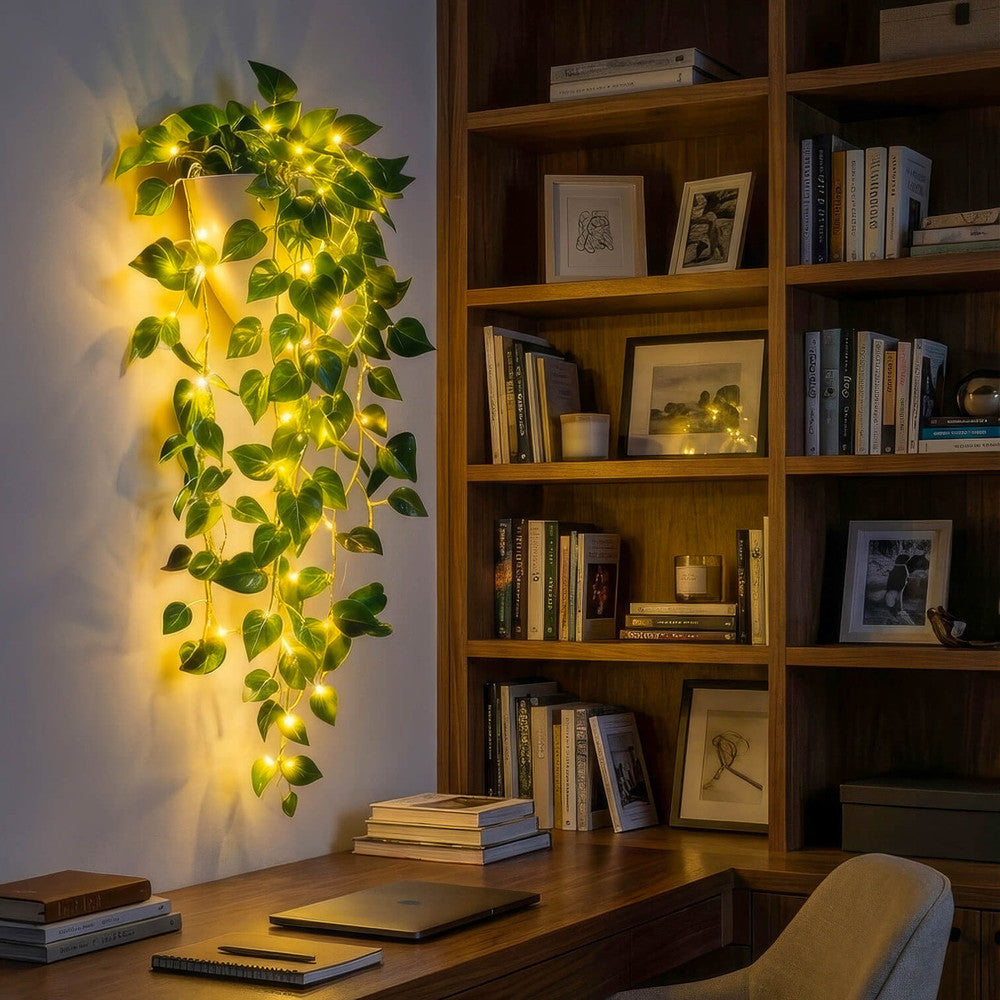 1 Vine Planter