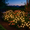Whimsy Wandering Light
