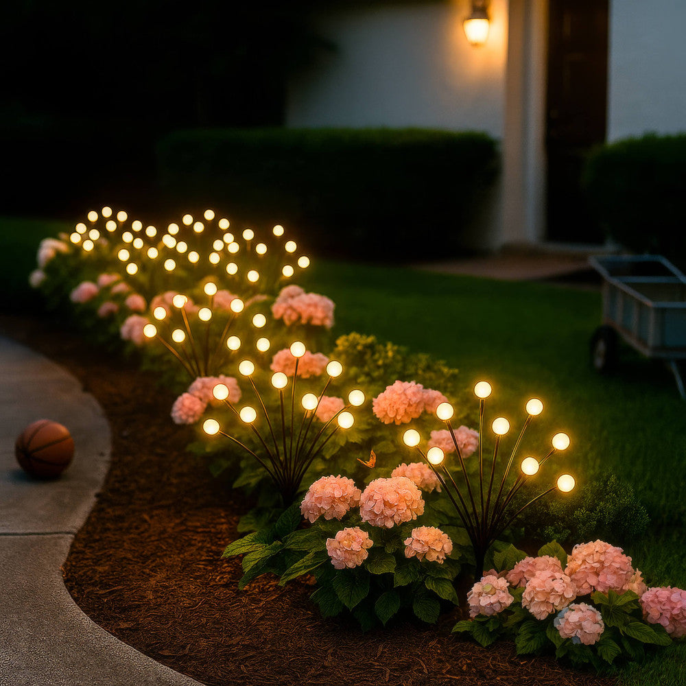 Whimsy Wandering Light